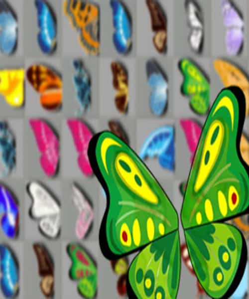 ButterflyKyodai