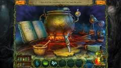 Forest Legends: The Call of Love CE