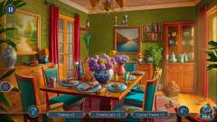 Hidden Object Chronicles: Poisoned Truth CE