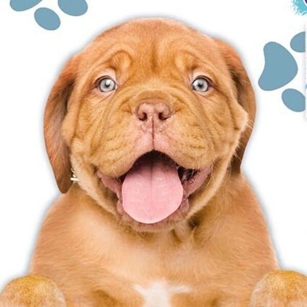 ILoveFindindPups