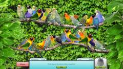 I Love Finding Critters CE