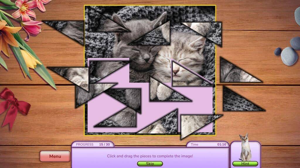 I Love Finding MORE Cats CE ss