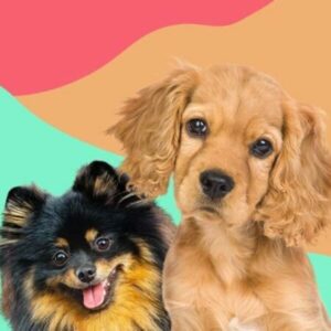 ILoveFindingMOREPups