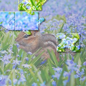 Legacy-Games_Puzzle-Pieces-4