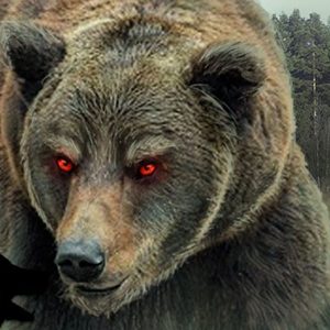 Legacy-Games_The-Wild-Case