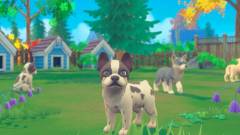 My Universe: Puppies and Kittens
