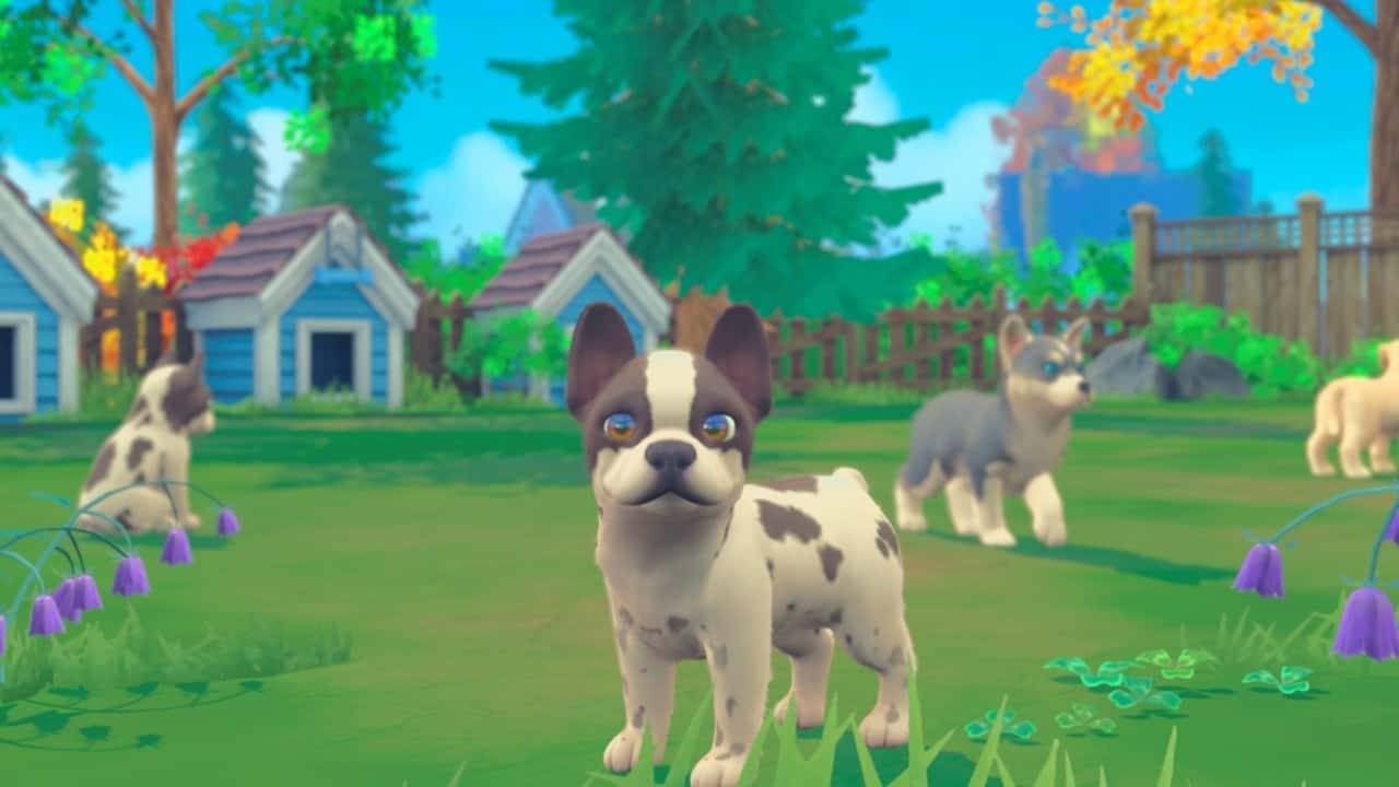 Legacy Games My Universe Puppies And Kittens SS