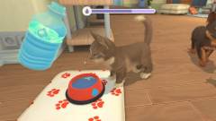 My Universe: Puppies and Kittens