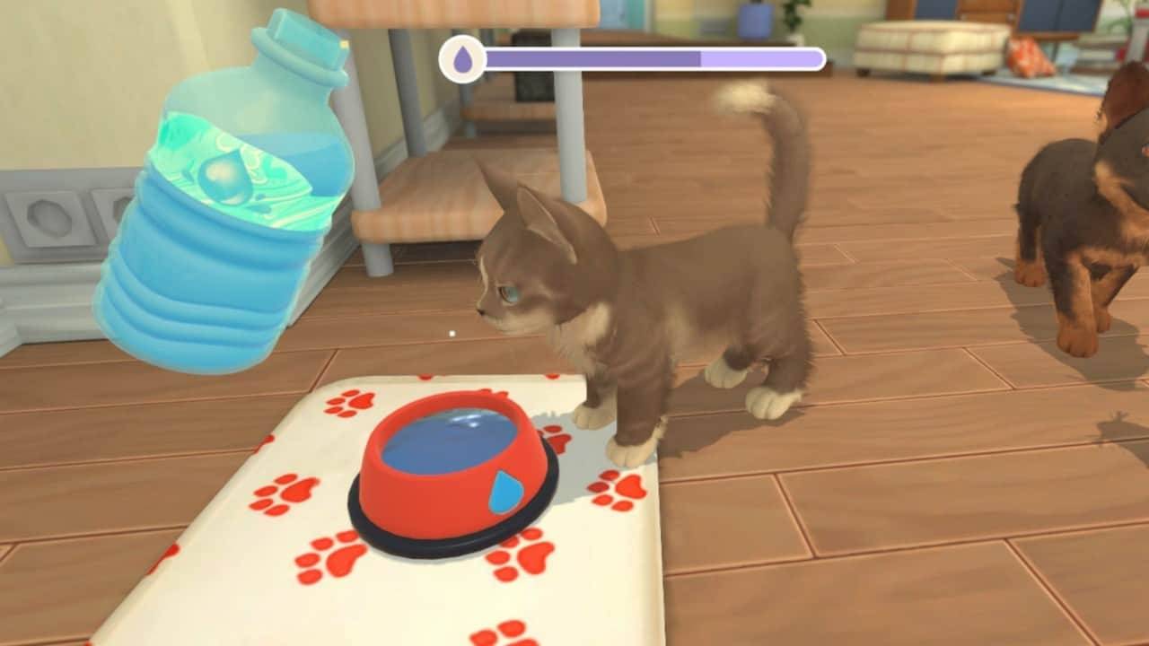 Legacy Games My Universe Puppies And Kittens SS2