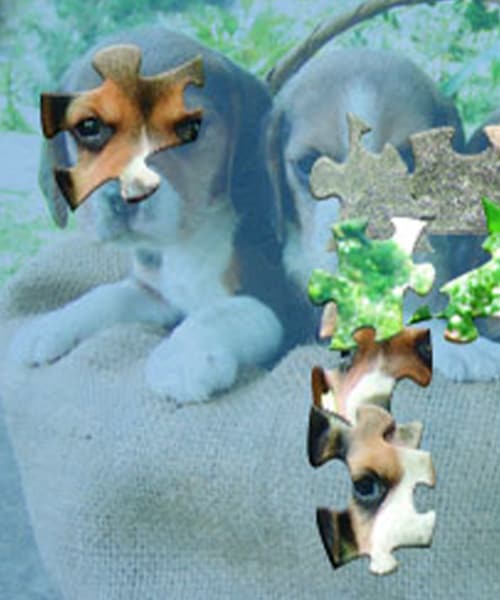 Play-Free-Online-HTML5-Games_Legacy-Games__0019_Legacy-Games_Play-Free-Online-HTML5-Games_Jigsaw-Puzzle-2